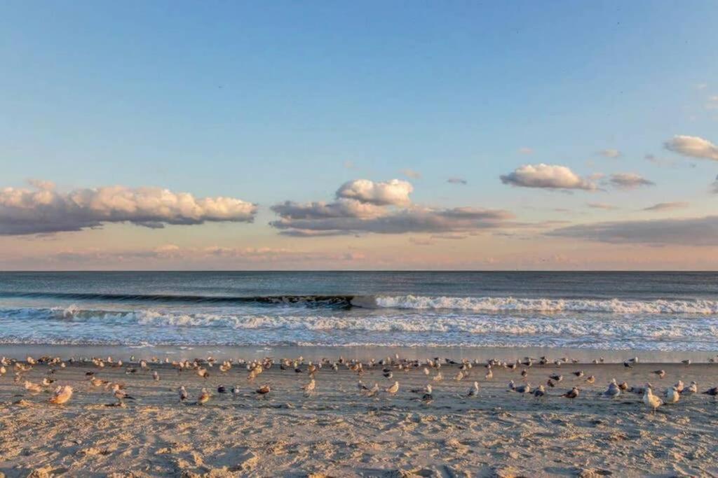 *Renovated Oceanfront Condo*Queen Beds*Pools*Hot Tubs*More*P220 Мертл-Біч Екстер'єр фото