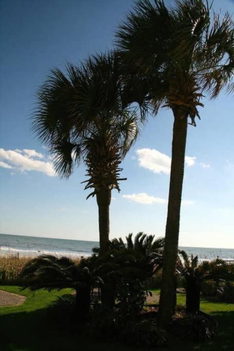*Renovated Oceanfront Condo*Queen Beds*Pools*Hot Tubs*More*P220 Мертл-Біч Екстер'єр фото